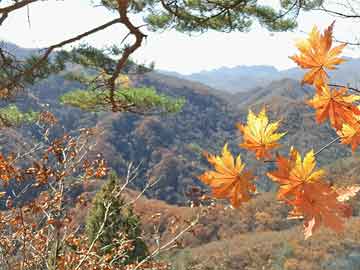 漢能股票代碼解析與探索